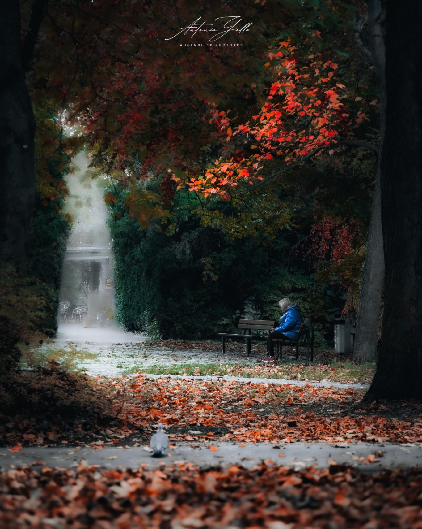 Einsamkeit Einsamer Mensch auf einer Bank in einem herbstlichen Park mit buntem Laub.