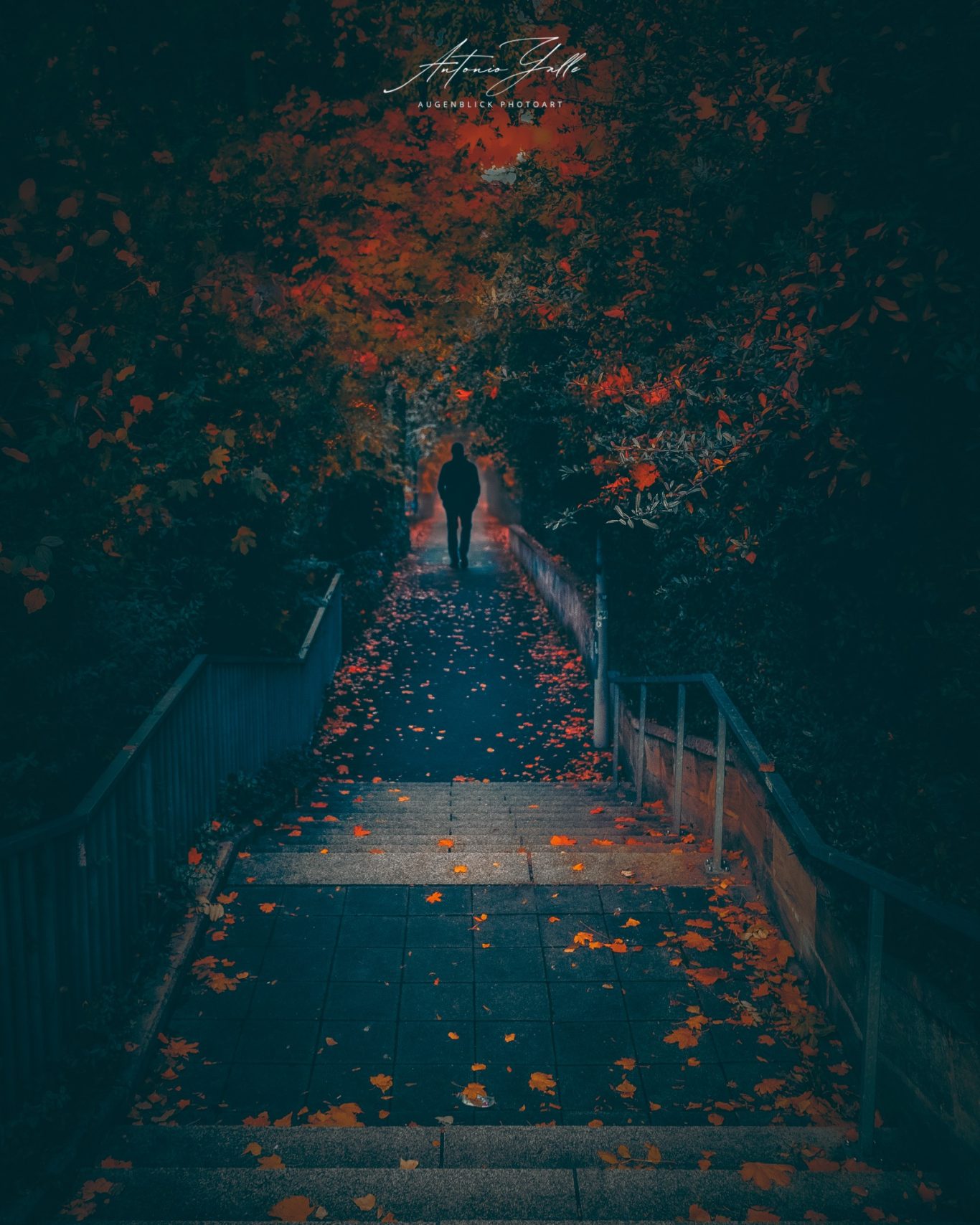 Dein Weg Ein geheimnisvoller Weg durch Bäume mit herbstlichen, bunten Blättern.